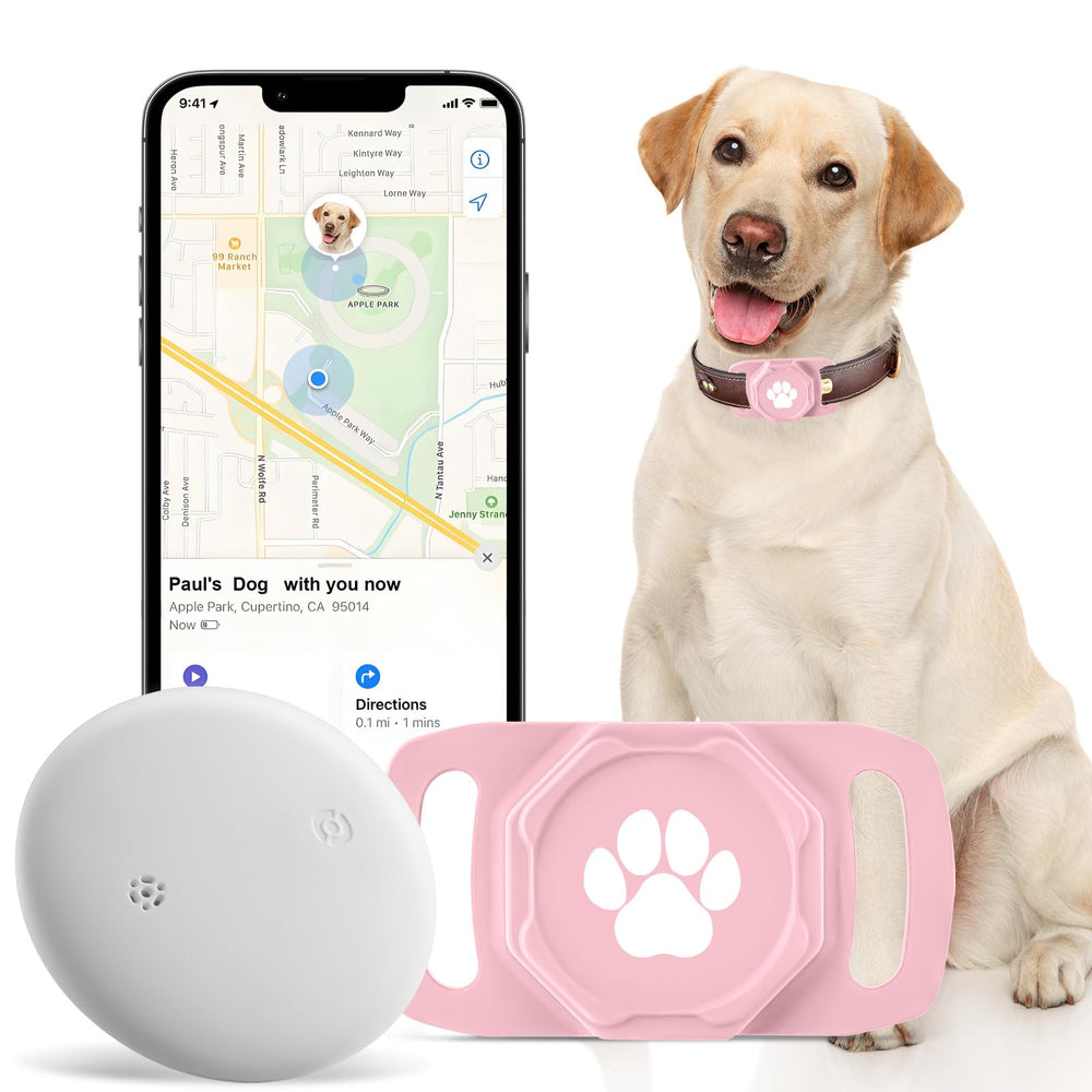 Ztobny smart pet tracker collar shows real-time location for quick peace of mind.