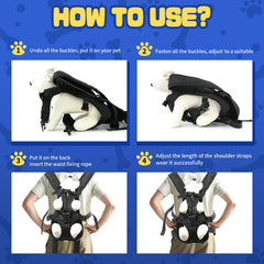 ZTVA hiking-ready dog backpack enables hands-free outdoor adventures.