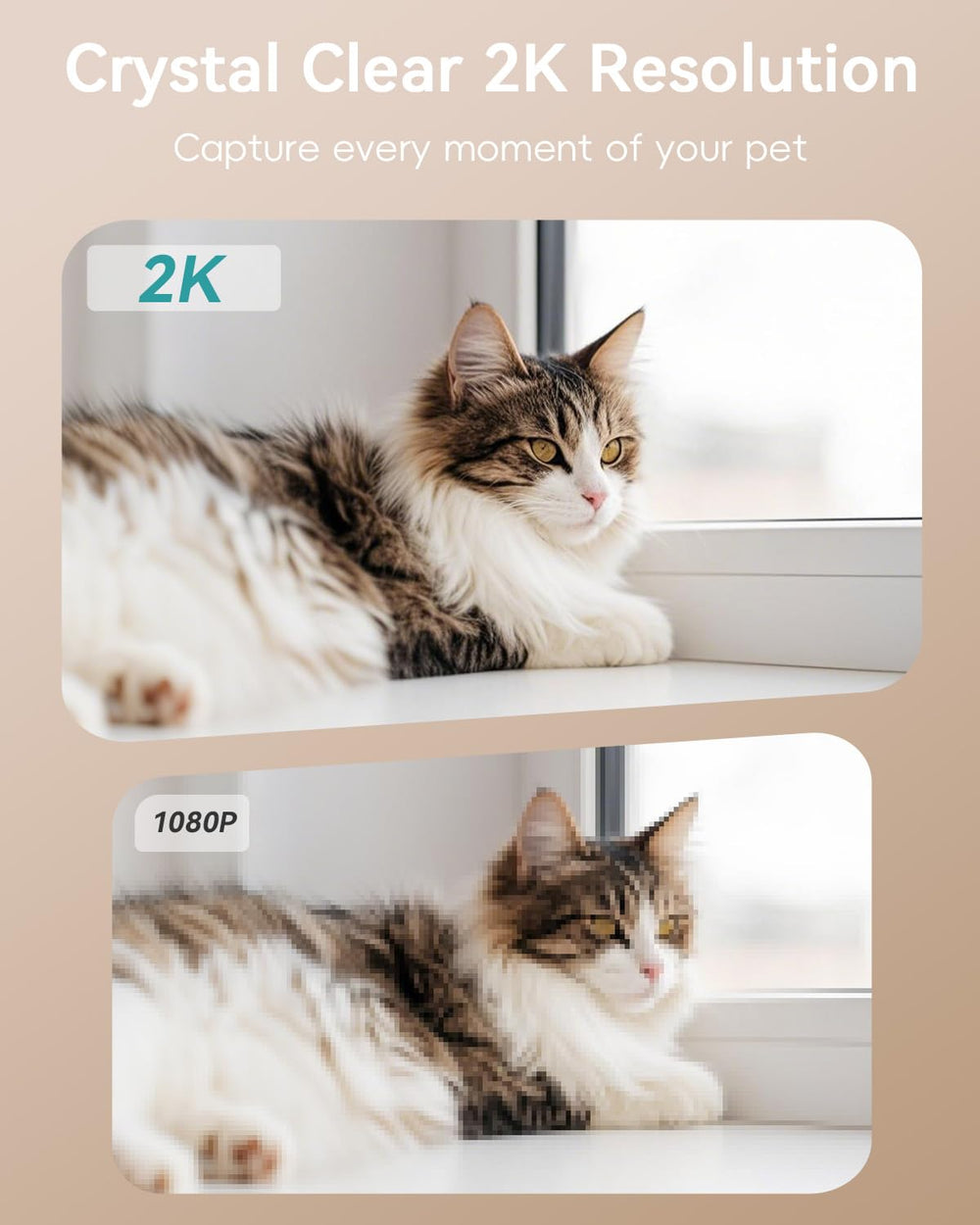 ZUMIMALL Pet Camera privacy cover rotates to protect privacy.