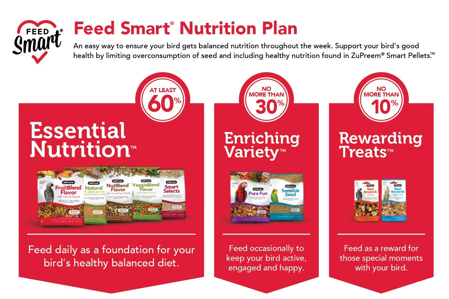 ZuPreem medium bird feeding setup shows easy diet transition.