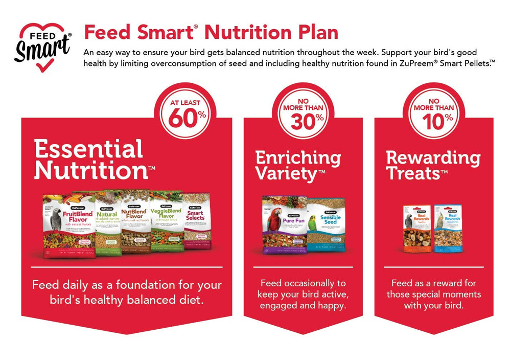 ZuPreem medium bird feeding setup shows easy diet transition.