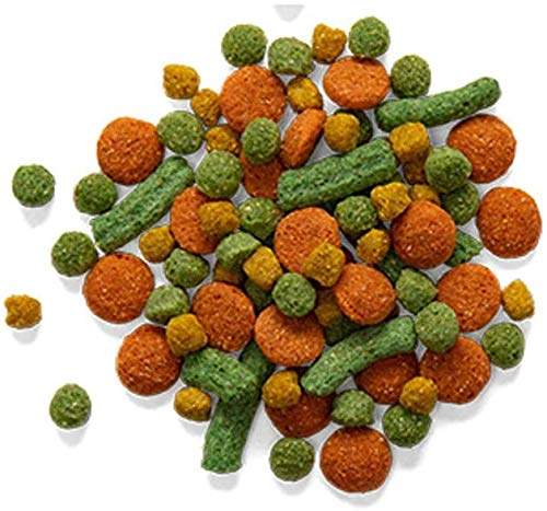 Close-up of ZuPreem VeggieBlend pellets reveals colorful grains for a varied diet.
