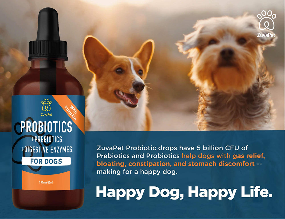 ZuvaPet Probiotics for Dogs coat health visual suggests vitality