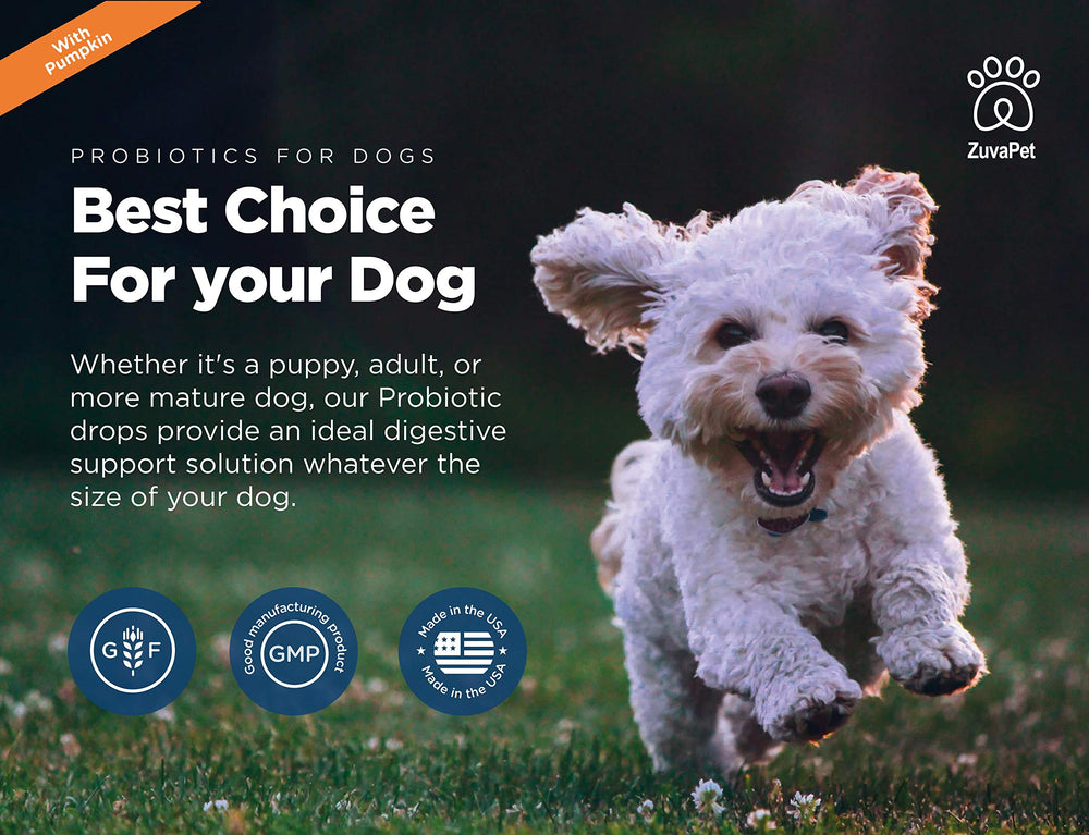ZuvaPet Probiotics dog meal-mixing with drops in bowl
