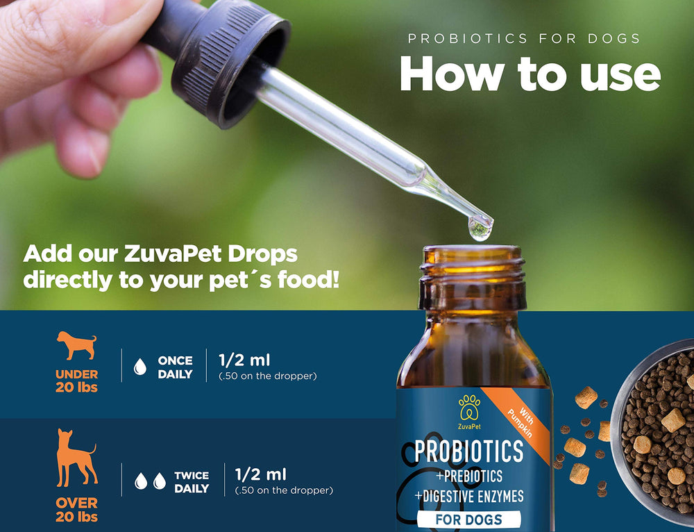 ZuvaPet Probiotics travel pack for on-the-go digestive support