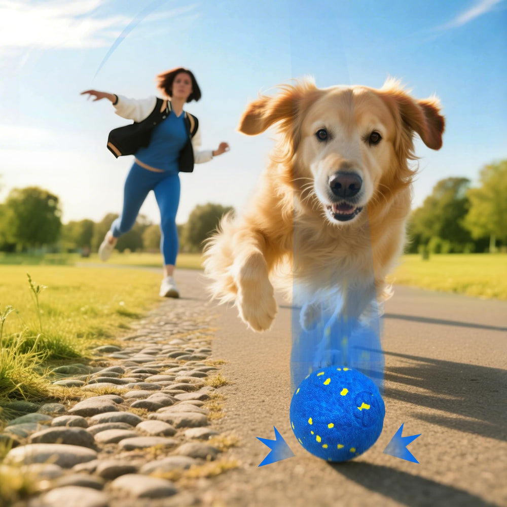 Zuykjeagle interactive dog ball water-resistant design for splash-friendly play