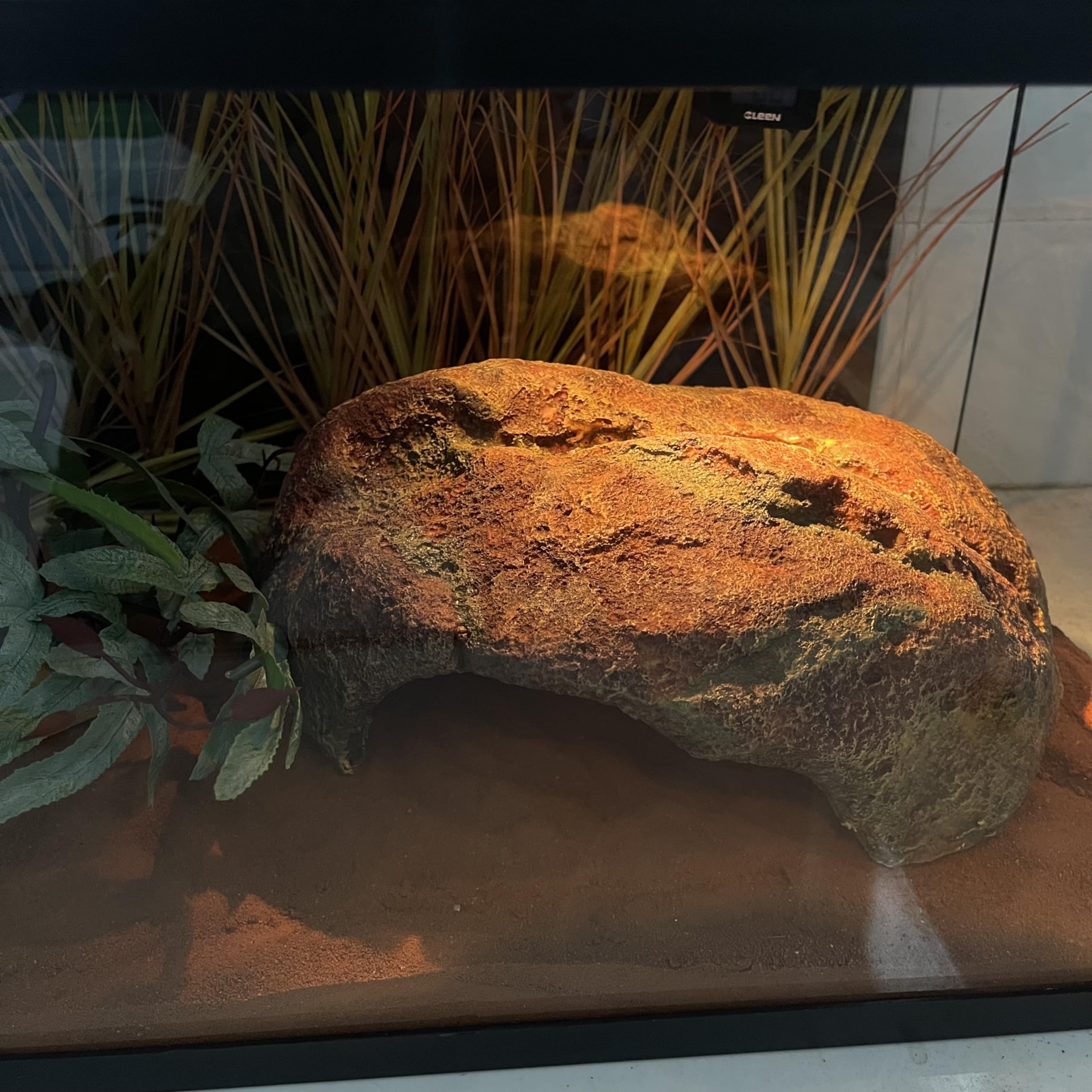 ZXUAQNOE reptile hide interior surface close-up highlights smooth safe entry and exit