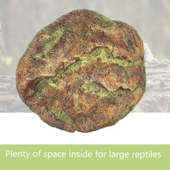 ZXUAQNOE reptile hide resin texture shows sturdy fade-resistant construction