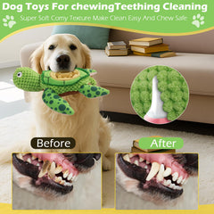 ZYBDP durable plush construction that withstands regular chewing.