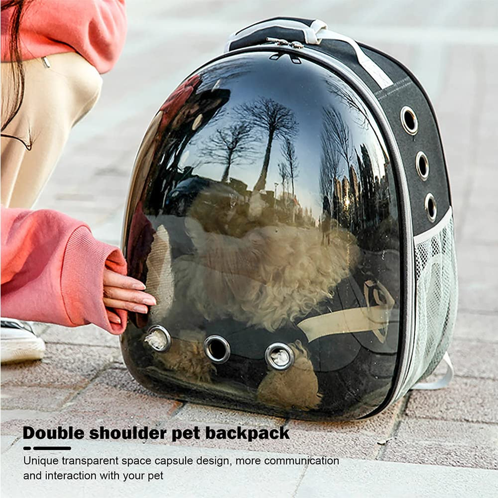 ZYHOAOE transparent carrier for small pets: view outdoors without opening.