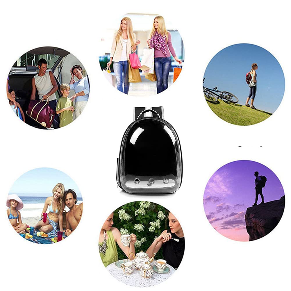 ZYHOAOE travel-ready pet carrier: ideal for camping, hiking, or city trips.
