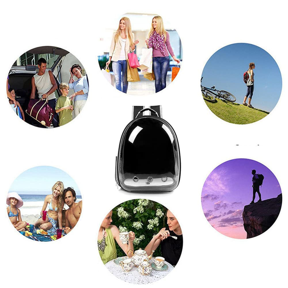 ZYHOAOE travel-ready pet carrier: ideal for camping, hiking, or city trips.