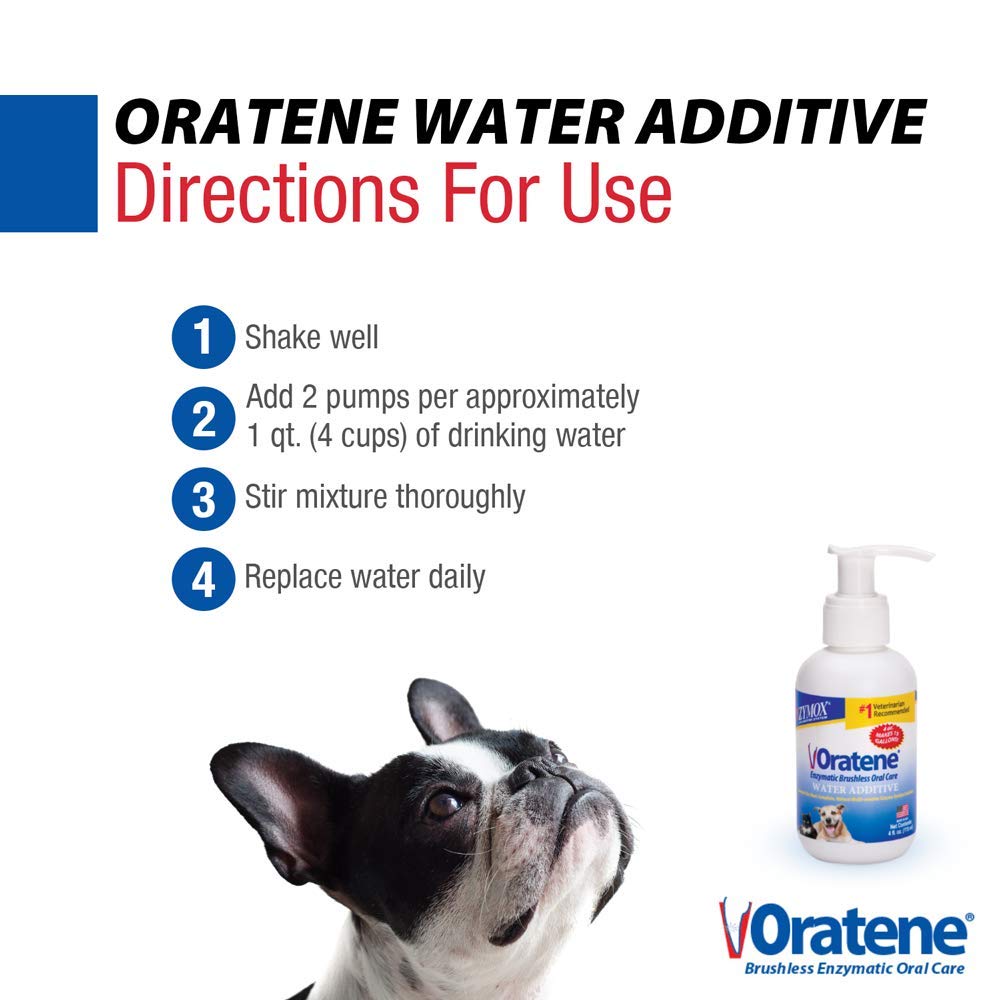 Cat enjoys water with Zymox Oratene supporting dry-mouth comfort and oral health.