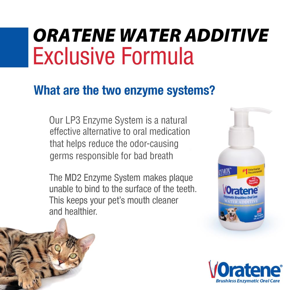 Close-up of a pet's clean teeth while using Zymox Oratene for oral hygiene.