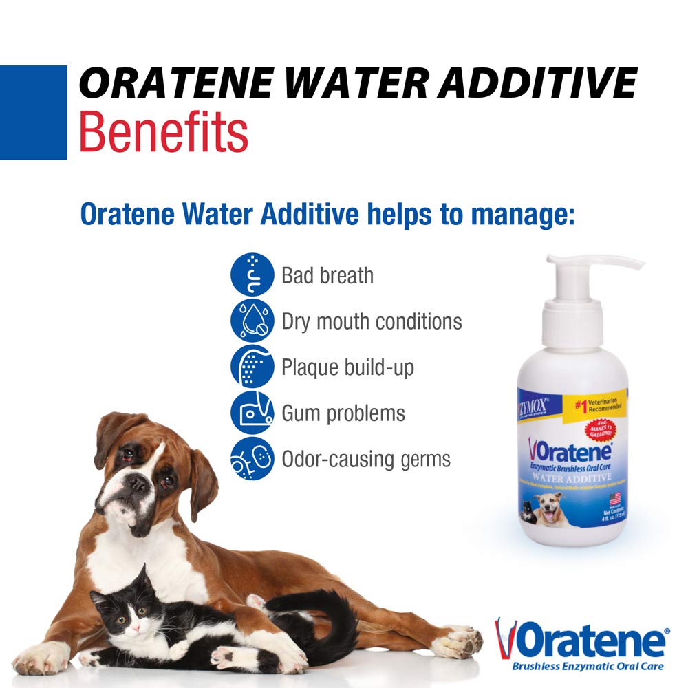 Zymox Oratene water additive being poured into pet water for easy daily dental care.