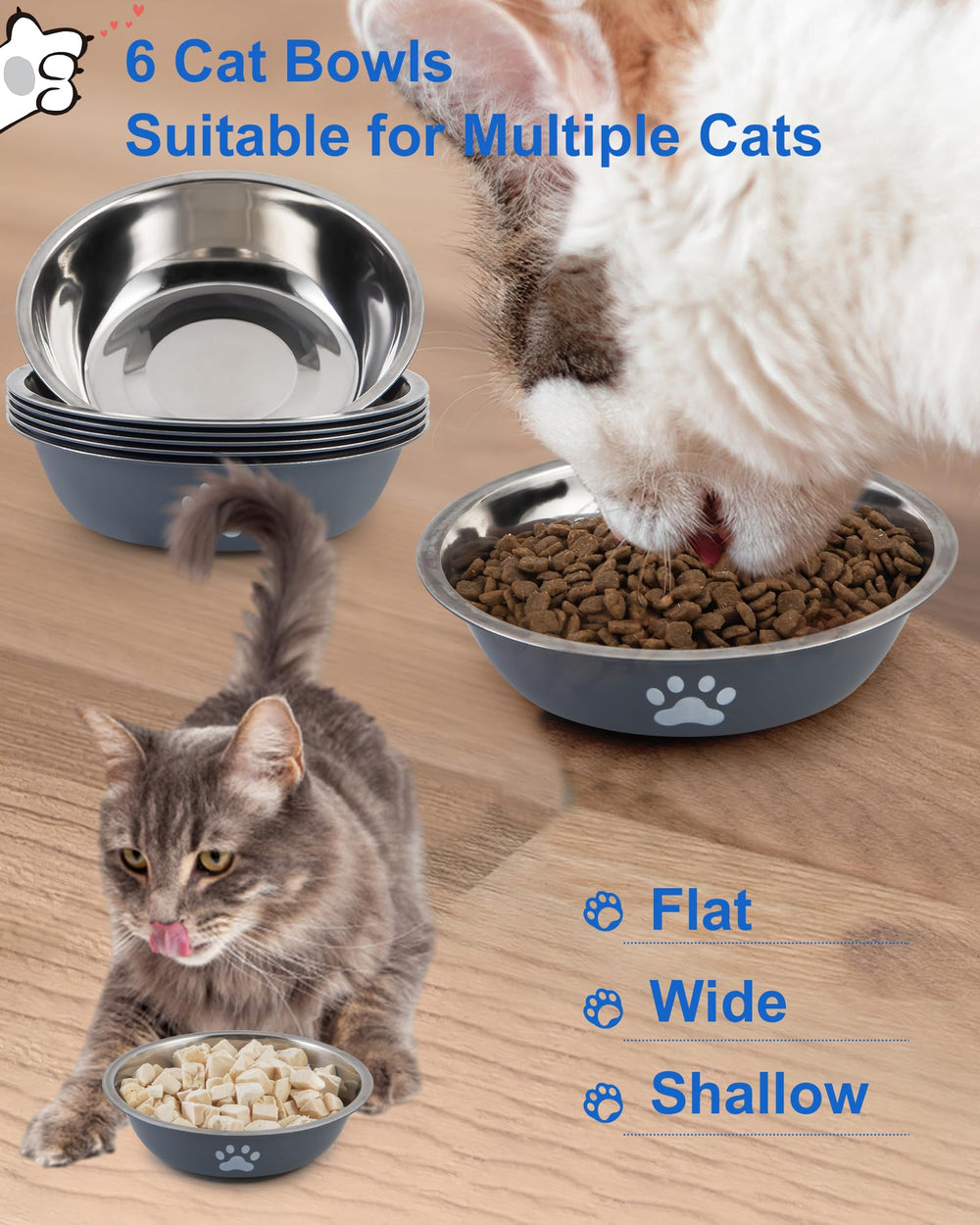 ZYUTONG portable stainless steel cat bowls suitable for home, travel, or camping.