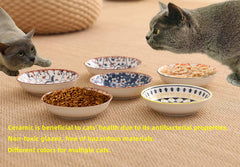 ZYUTONG whisker-friendly 5.5 inch bowl open illustrates gentle dining for small cats.