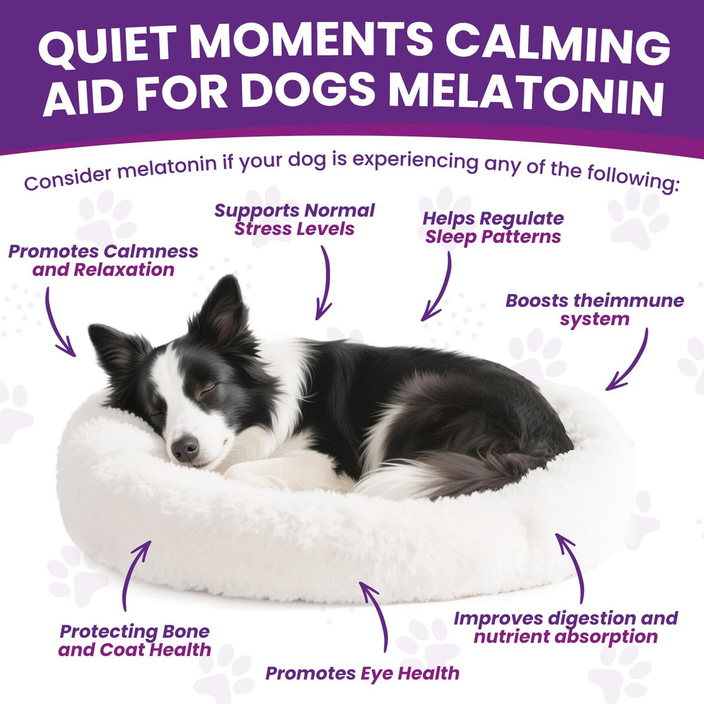 ZZTRMY Gotas de melatonina para perros calman durante tormentas